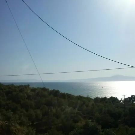 Teo * Καλαμάτα